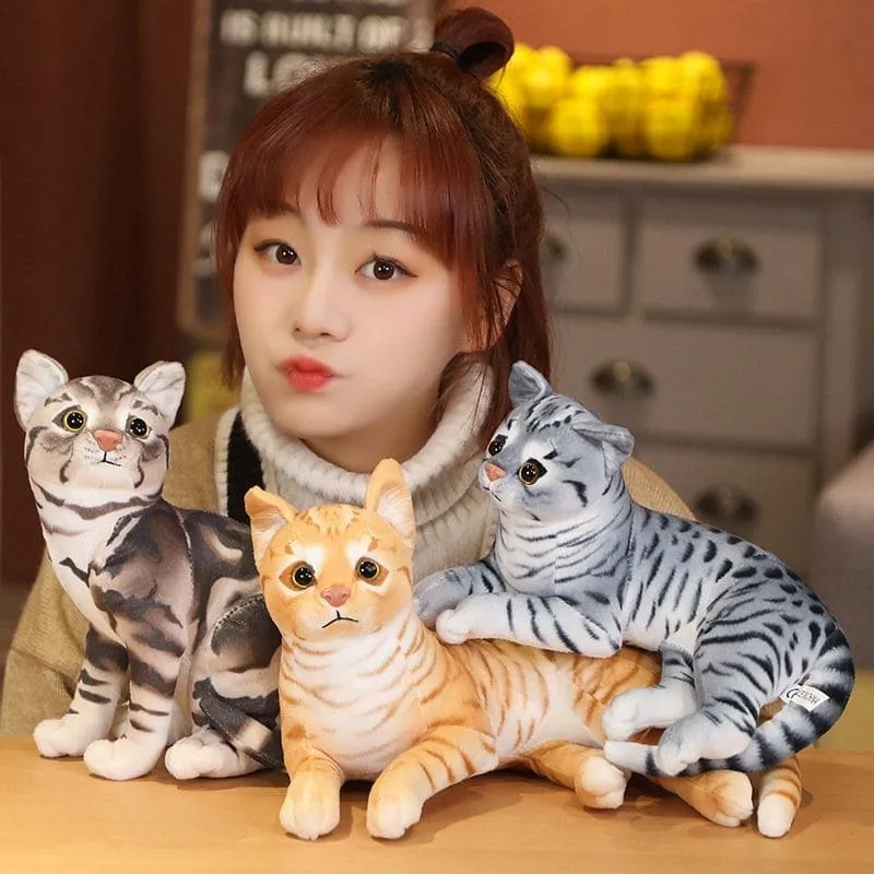 Cute Cat Doll Plush Toy