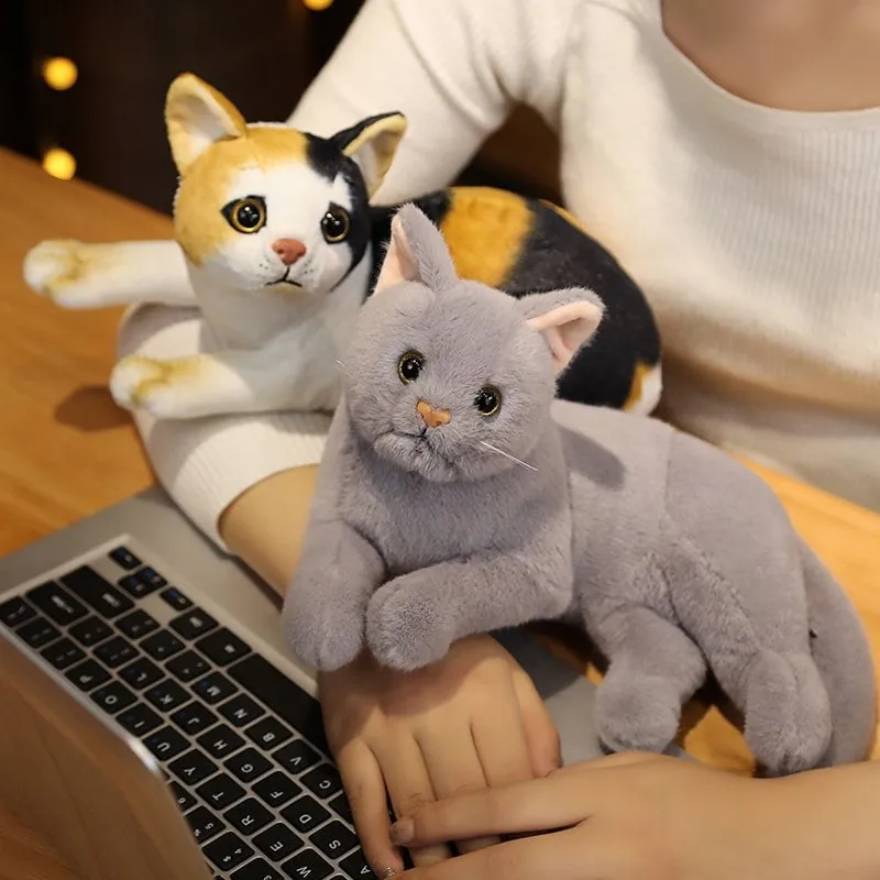 Cute Cat Doll Plush Toy