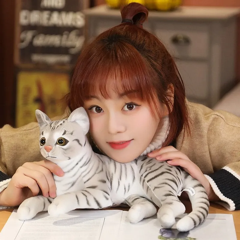 Cute Cat Doll Plush Toy