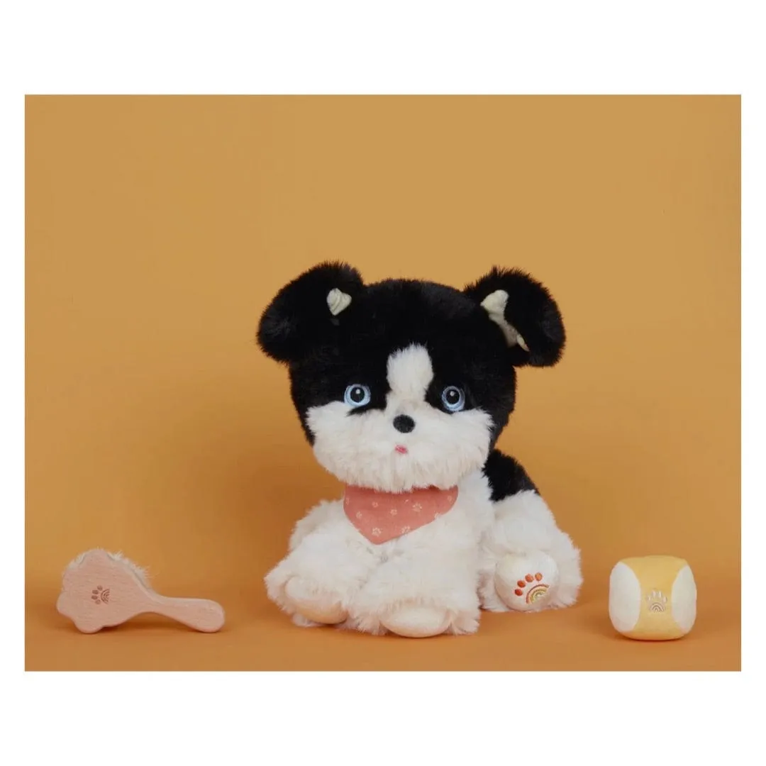 Dinkum Dogs Starter Set