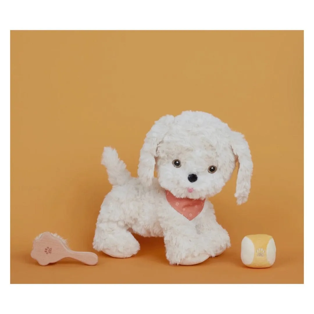 Dinkum Dogs Starter Set