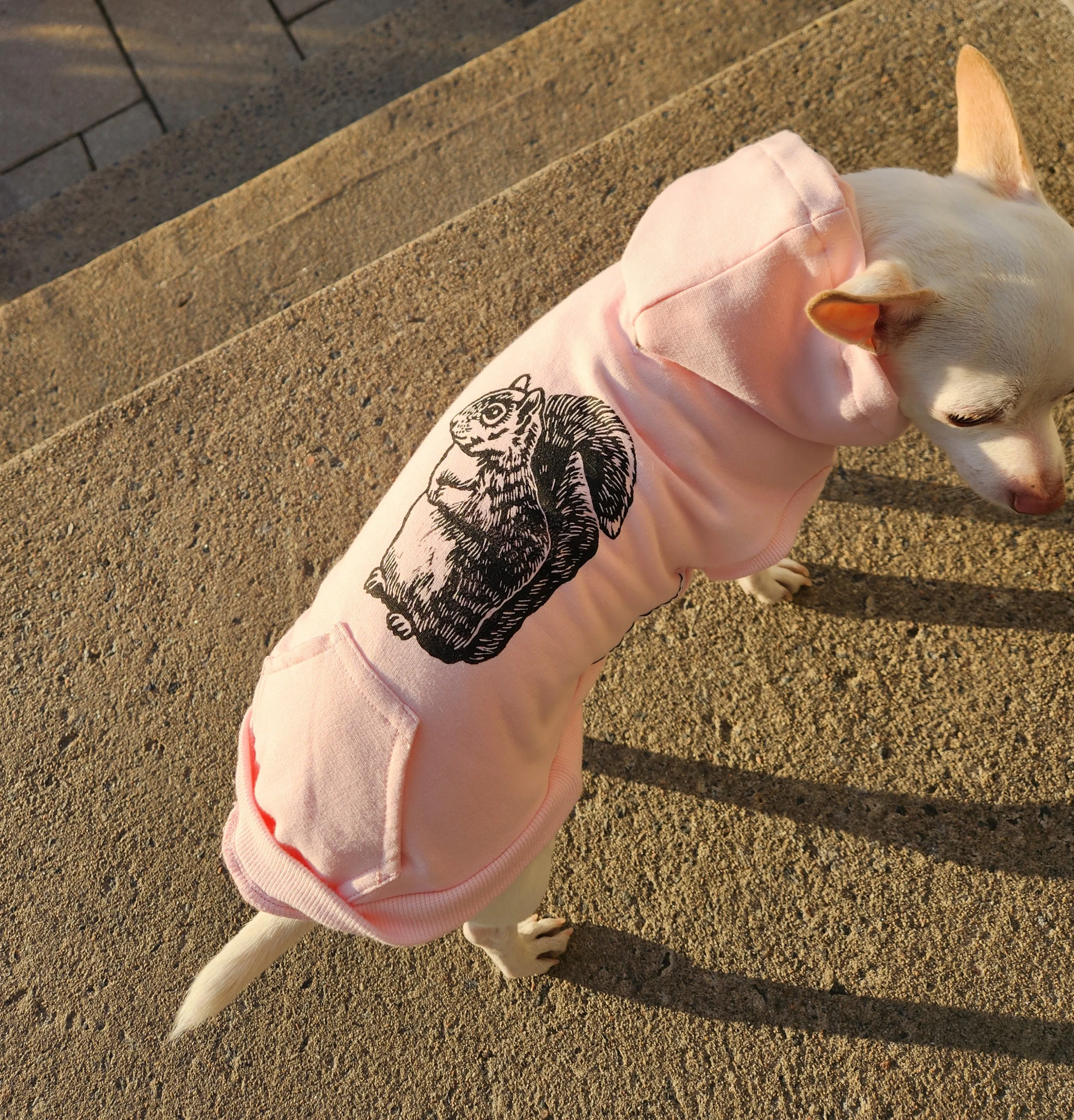 Fleece Dog Crew Sweatshirt - Biscuit