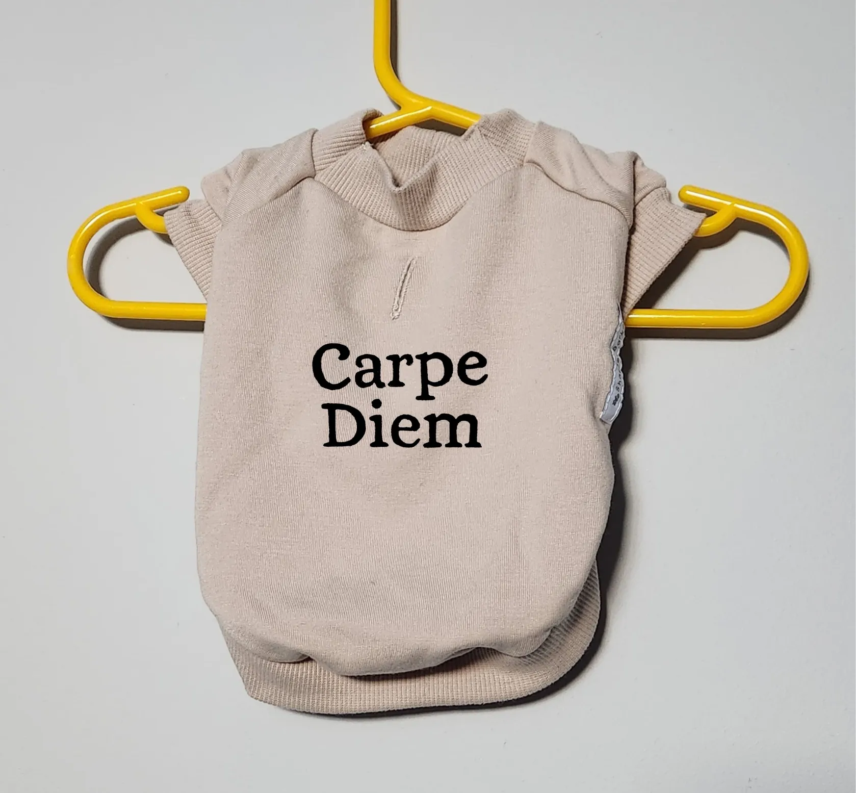 Fleece Dog Crew Sweatshirt - Biscuit