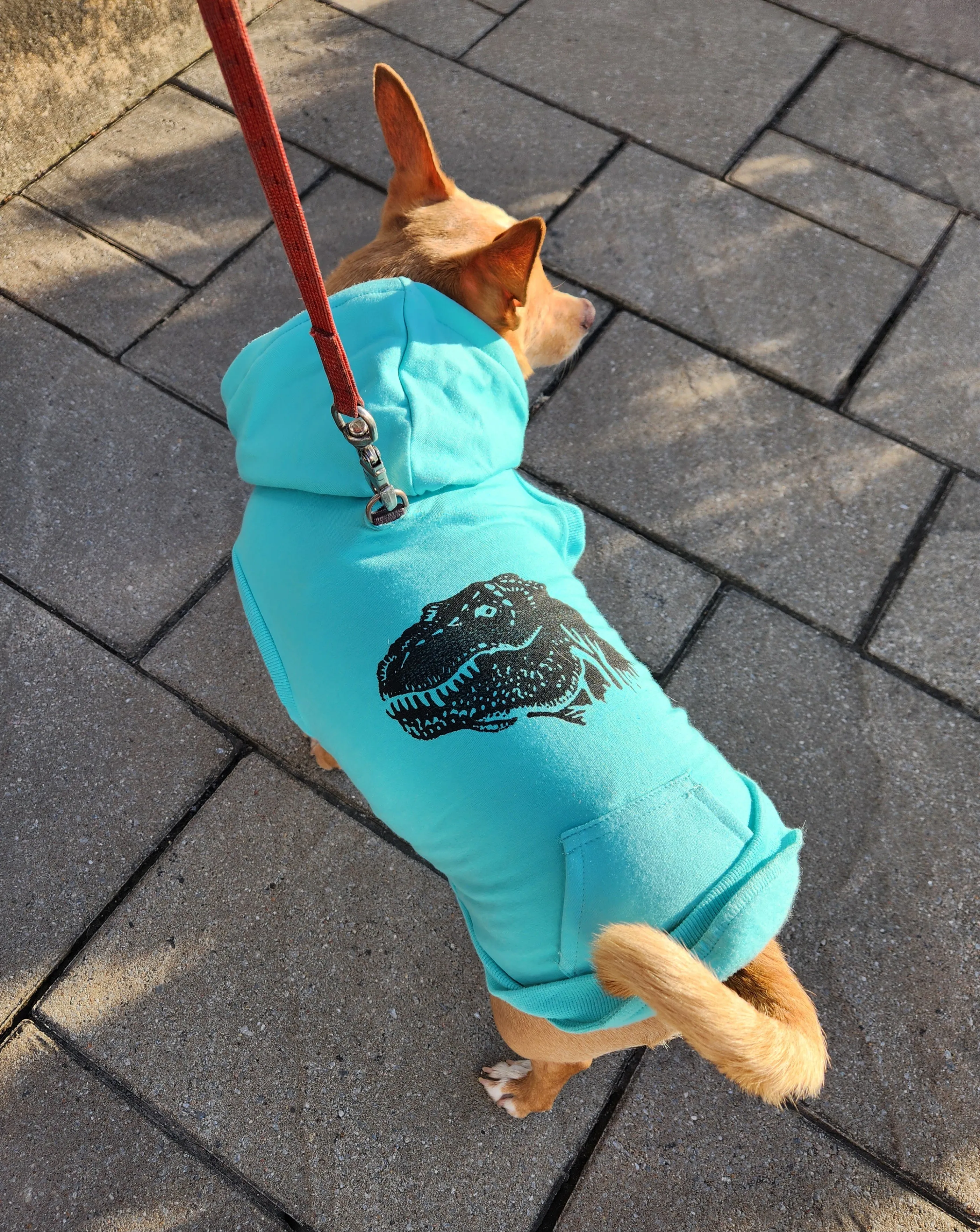 Fleece Dog Crew Sweatshirt - Biscuit
