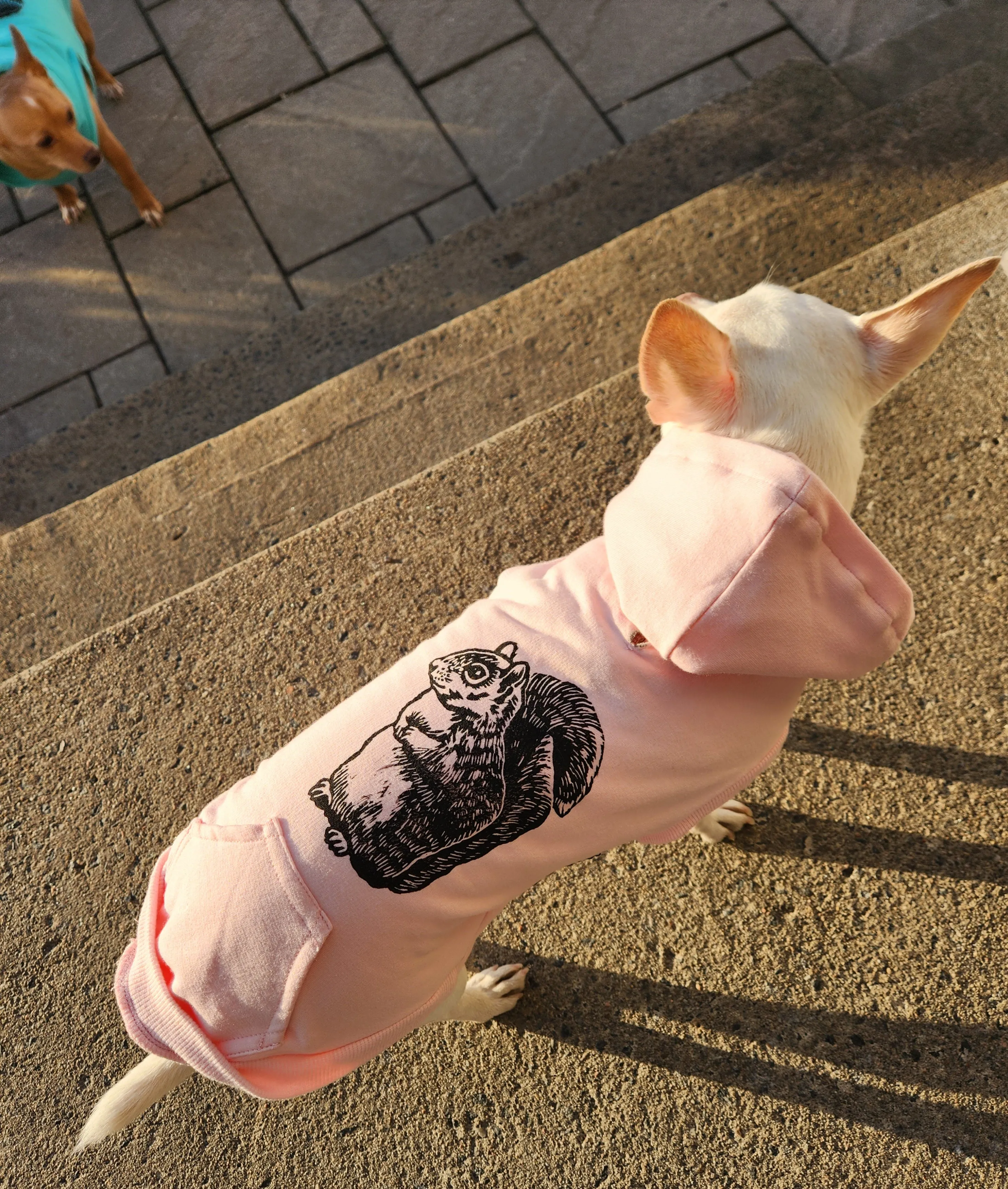 Fleece Dog Crew Sweatshirt - Biscuit