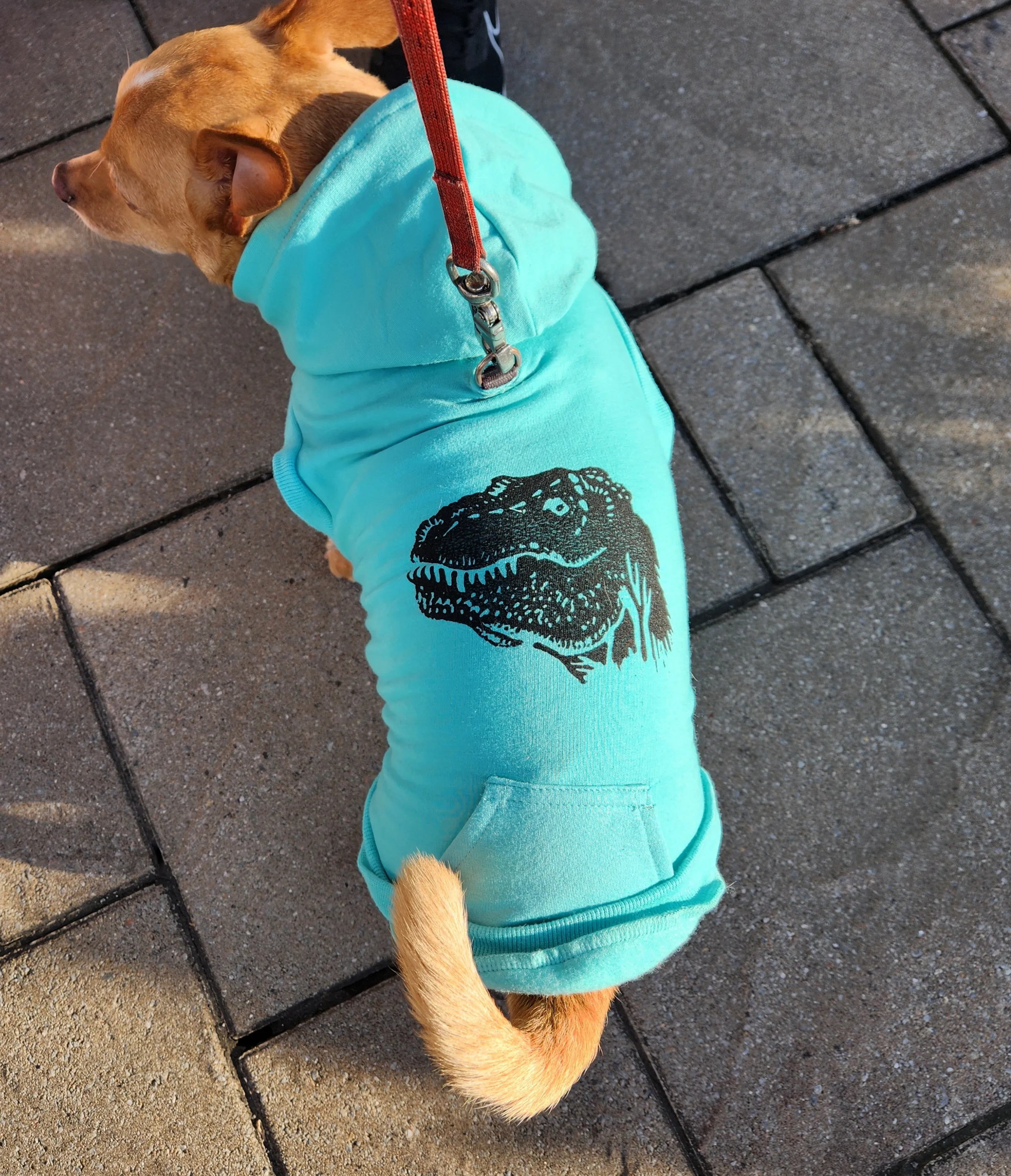 Fleece Dog Crew Sweatshirt - Biscuit