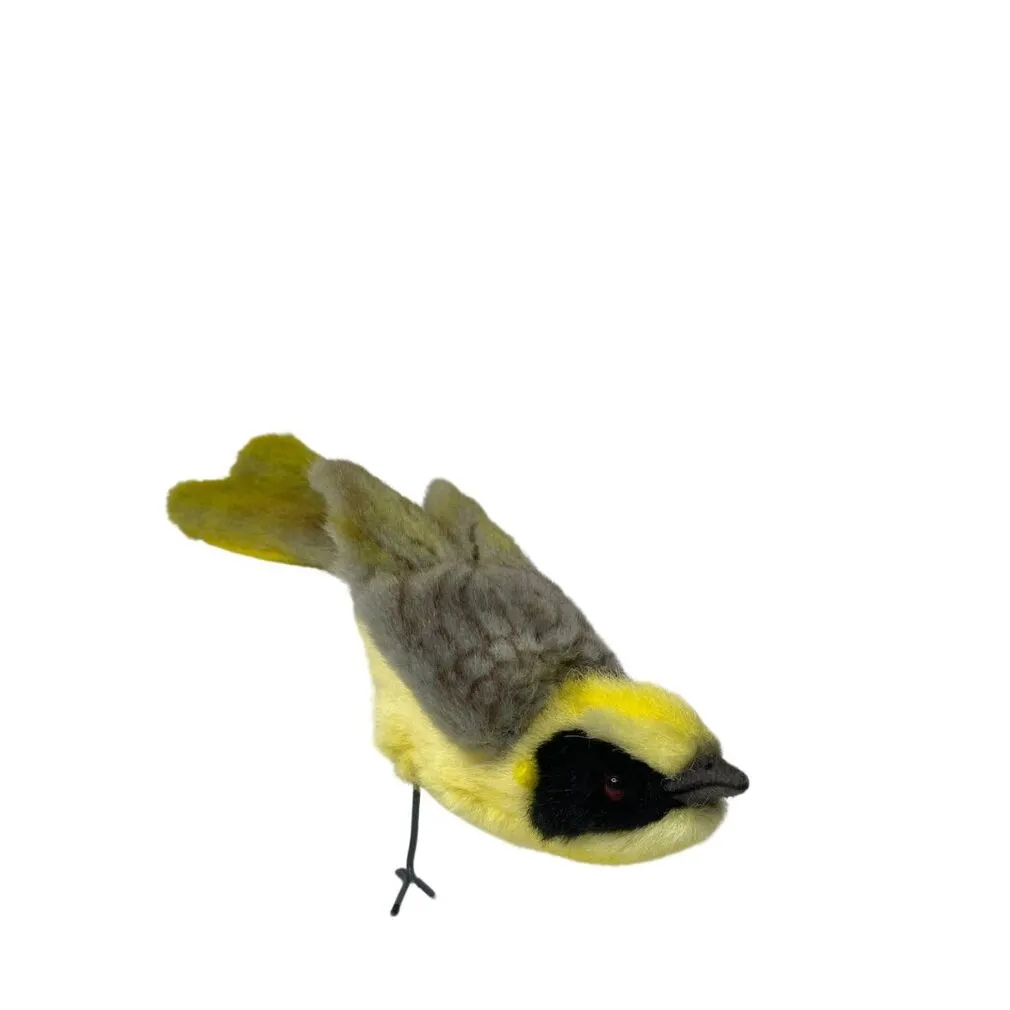 Hansa Helmeted Honeyeater Bird