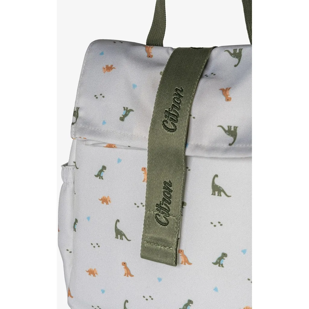 Insulated Roll-up Lunchbag - Dino Green